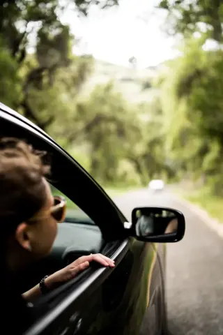 Passager avant d'une voiture qui penche la tête par la fenêtre d'une voiture sur une route au milieu d'un paysage vert