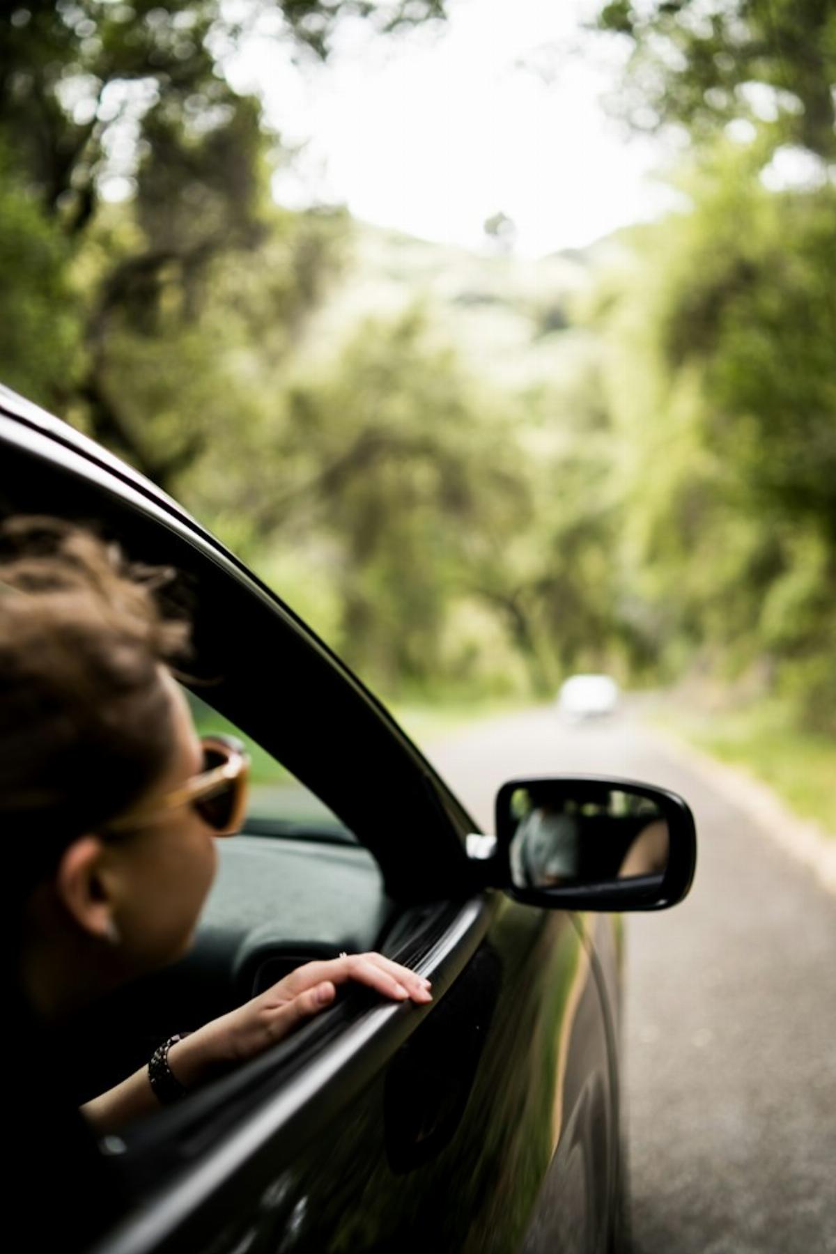 Passager avant d'une voiture qui penche la tête par la fenêtre d'une voiture sur une route au milieu d'un paysage vert
