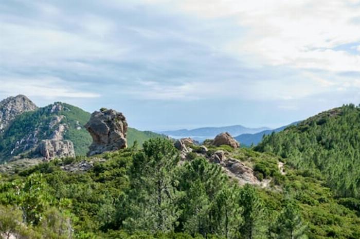 Paysage boisé en montagne en Corse